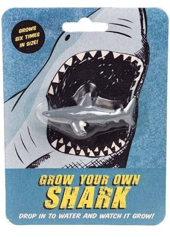 Grow Your Own Shark Toy