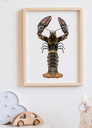 Geo Lobster
