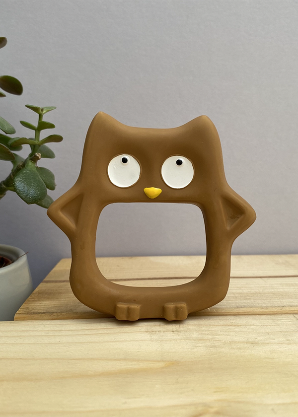 My Friend Hoot Teether Toy